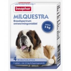 Beaphar Milquestra dog wormer - 4 beef flavoured tablets